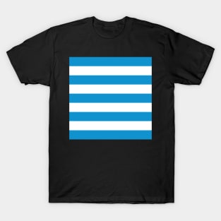 Cerulean Blue White Horizontal Stripes T-Shirt